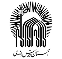 همکار ۲
